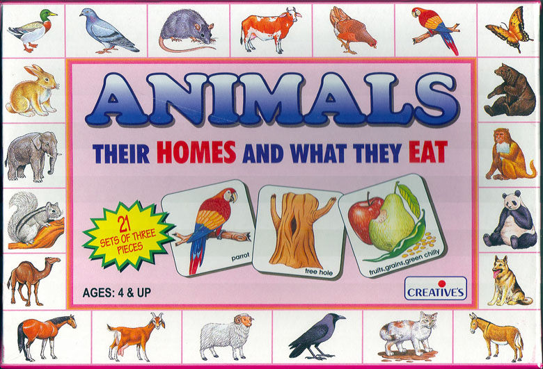 Animals Their Homes And What They Eat – Bymor